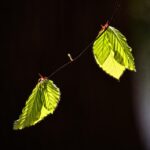 Boost Your Investment Returns: Top 5 High-Risk Strategies to Consider Now